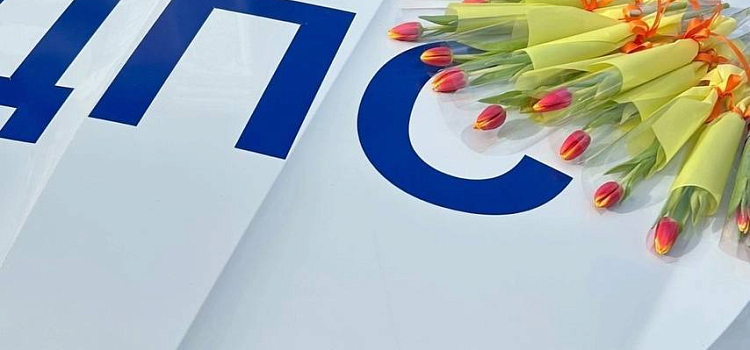 В Ярославле сотрудники Госавтоинспекции массово останавливали женщин-водителей_312586