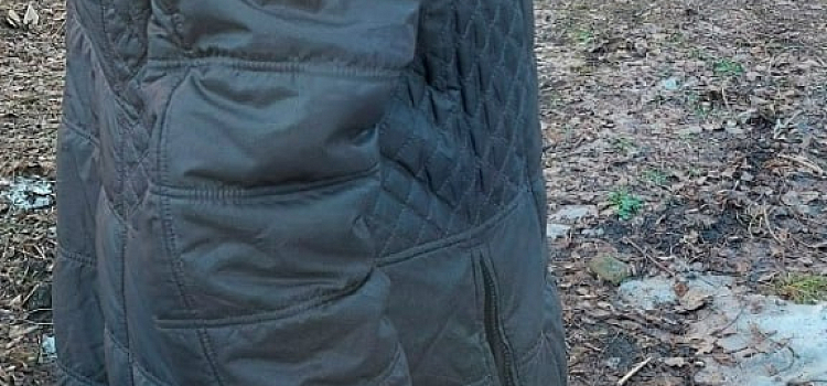 В Ярославле у бабушки, устроившей массовый выпил деревьев, полицейские отобрали пилу_313616