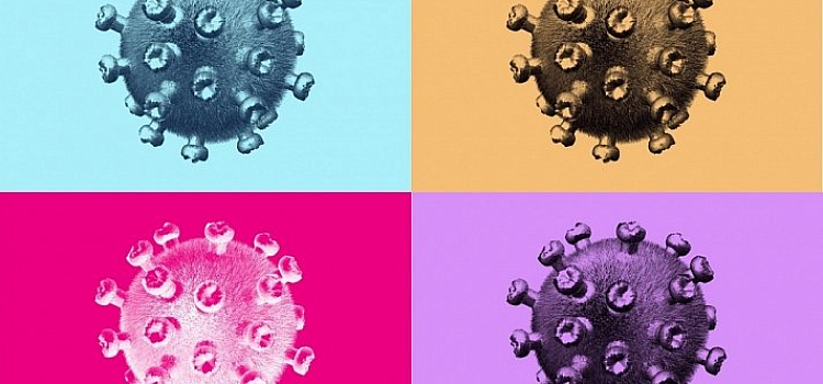 71 заболел, 56 выздоровели: статистика по коронавирусу в Ярославском регионе