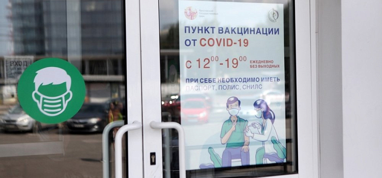 Ярославцы, подделывающие сертификаты о прививке, могут оказаться за решеткой