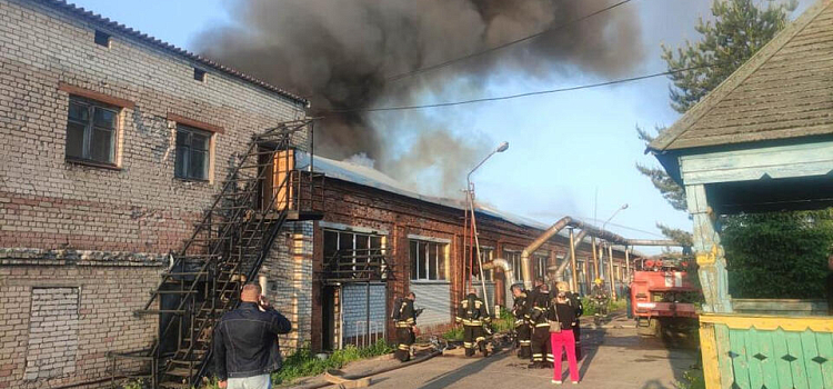 Тушили около 12 часов: в Ярославской области горела мебельная фабрика_241549