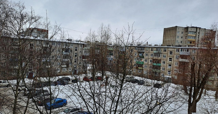 «Жить в районе стало страшно». Жители ярославского двора, в котором произошло зверское убийство, пожаловались на неадекватных соседей