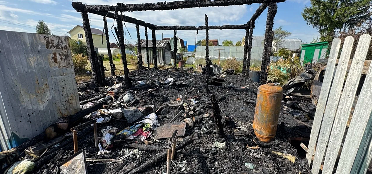 При пожаре на даче под Ярославлем пострадал мужчина_320705