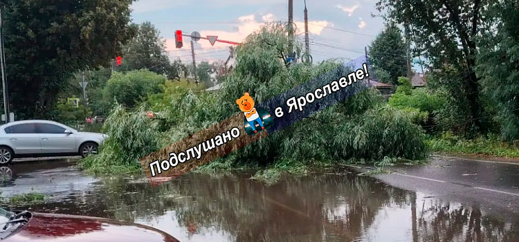 Крыши и деревья летели прямо на дорогу: в Ярославской области устраняют последствия грозы_319281