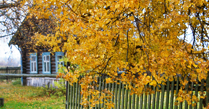 Любопытная статистика: в Ярославской области селяне говорят по телефону и сидят в интернете больше, чем горожане
