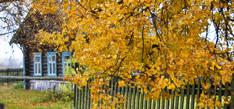 Любопытная статистика: в Ярославской области селяне говорят по телефону и сидят в интернете больше, чем горожане