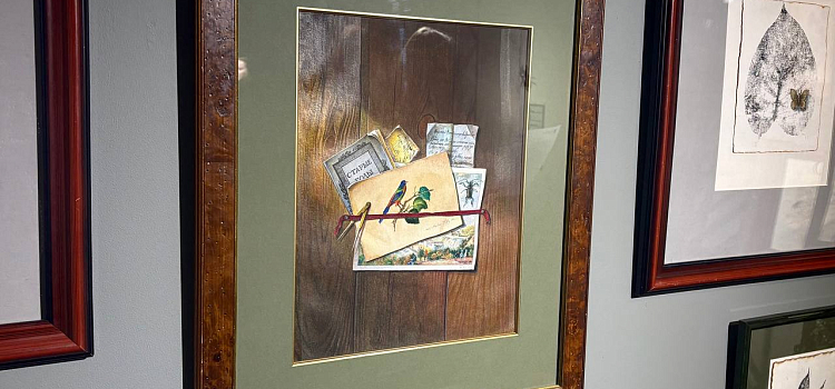 Оранжерея иллюзий: в Ярославле проходит выставка «Иллюзия/реальность»_312244