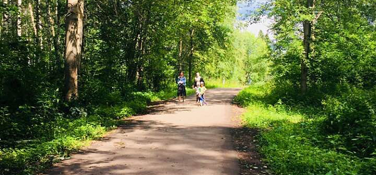 Разрешение на строительство рядом с Павловской рощей не продлено — Елена Богданова