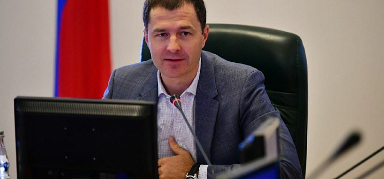 Мэр Ярославля представил сведения о доходах: три земельных участка, два жилых дома, четыре квартиры; жена зарабатывает 14,5 млн в год_157774