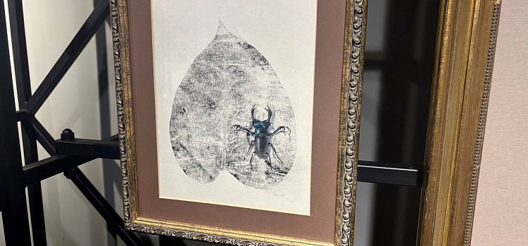 Оранжерея иллюзий: в Ярославле проходит выставка «Иллюзия/реальность»_312247