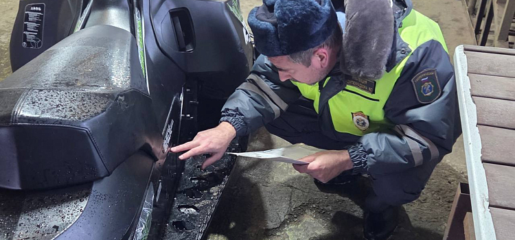 «Седой паромщик»: в Павловской роще задержали мужчину, незаконно катавшего ярославцев по льду Волги_309391