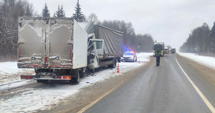 В Ярославской области в лобовом столкновении двух грузовиков погиб водитель_228836