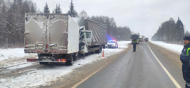 В Ярославской области в лобовом столкновении двух грузовиков погиб водитель_228836