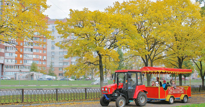 Стало известно, какие парки и зоны отдыха в Ярославле хотят благоустроить в будущем году