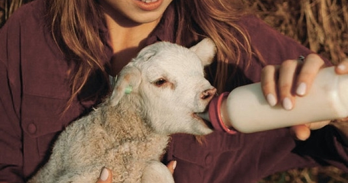 В Ярославской области пройдёт круглый стол по агротуризму