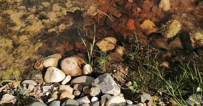 Очистные из проекта «Оздоровление Волги» загрязнили водоёмы: суд взыскал миллионы с Ярославского областного водоканала