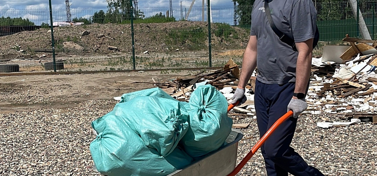 Ярославские студенты выгуляли собак из приюта и одновременно собрали 170 килограммов мусора на берегу Волги_274796