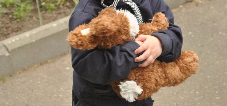 День мороженого 2015 в Ярославле_32737