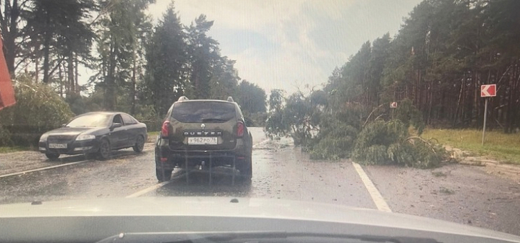 Автомобили в кювете и вырванные деревья: под Ярославлем разбушевался сильный ураган вблизи аэропорта_245501