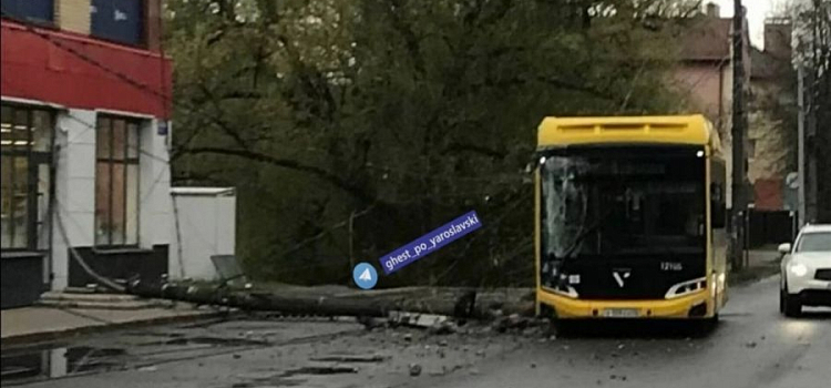 В Ярославле автобус врезался в столб_271788