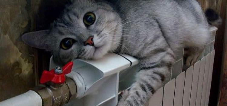 На этой неделе в Ярославле стартует отопительный период 