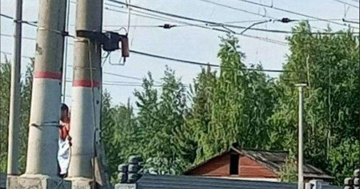 Торопился на автобус: под Ярославлем пассажирский поезд насмерть сбил мужчину