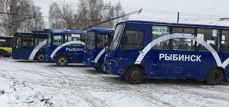 В Рыбинске появился брендированный общественный транспорт. Фото_169550