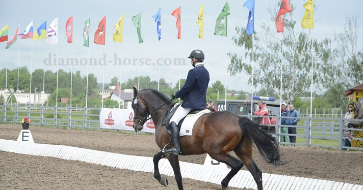 В Ярославской области открылись соревнования по конному троеборью