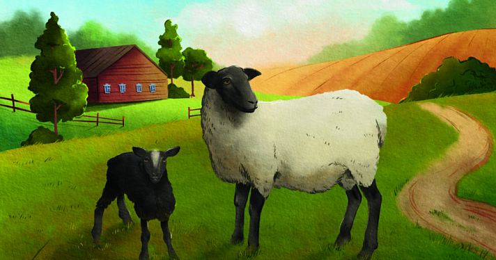 Романовская овца: всё, что вы хотели знать о породе, выведенной в Ярославской области