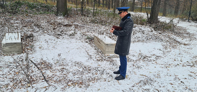 Раскурочили и бросили: благоустройством Павловской рощи в Ярославле заинтересовалась прокуратура_255725