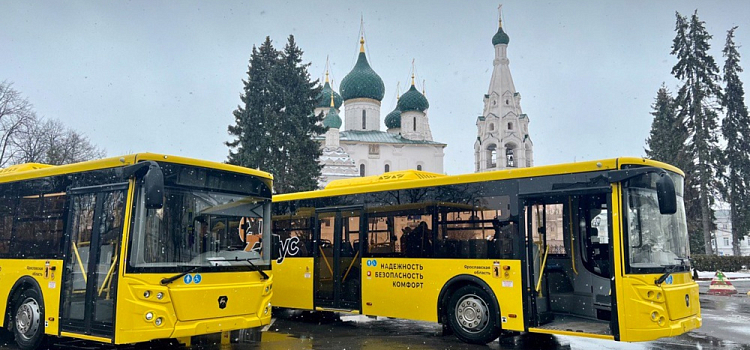 График выхода новых автобусов на маршруты: Ярославлю за два месяца предстоит обновить весь автопарк