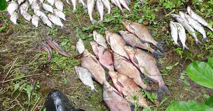 Выловили 164 экземпляра промысловой рыбы: в Ярославской области на Волге задержали браконьеров_247145