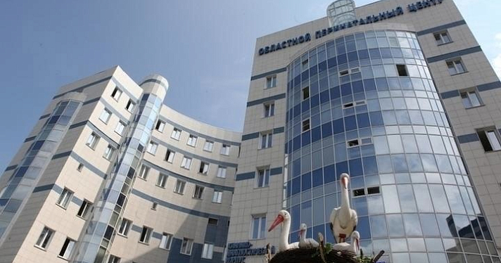 В Ярославской области хотят создать Центр материнства и детства