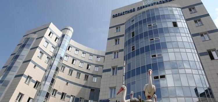 В Ярославской области хотят создать Центр материнства и детства