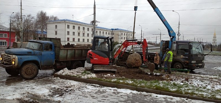 В Рыбинске к новогодним праздникам высадили живую ель: сколько стоит_169248