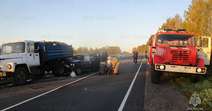В Ярославской области под колёсами автомобиля погиб сбивший лося водитель грузовика