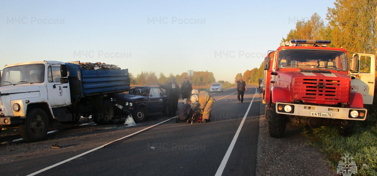 В Ярославской области под колёсами автомобиля погиб сбивший лося водитель грузовика