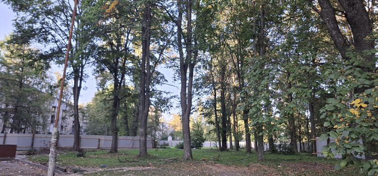 В Дзержинском районе Ярославля начинают большую стройку на месте зелёной зоны