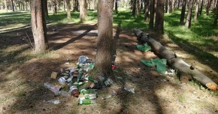 Ярославцы превратили в свалку сосновый бор в Заволжском районе