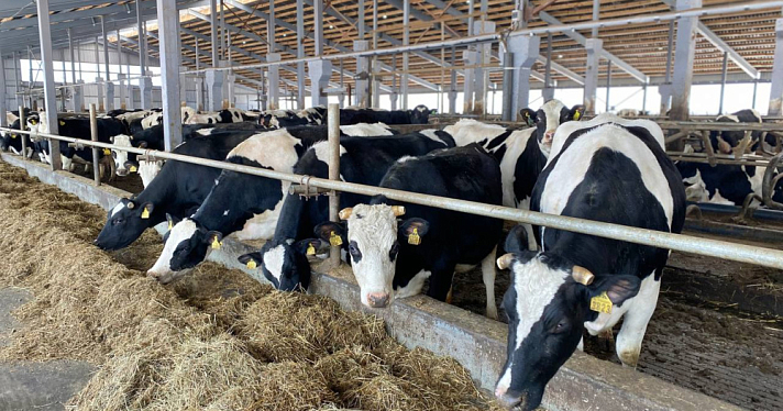 В Ярославской области аграрный комплекс произвёл продукции на 70,3 миллиарда рублей