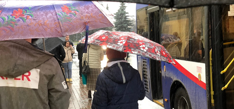 Половина месячной нормы осадков! В Ярославль придет неделя дождей