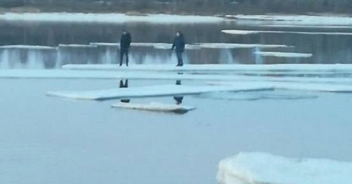 В Рыбинске спасатели сняли двух детей с льдины