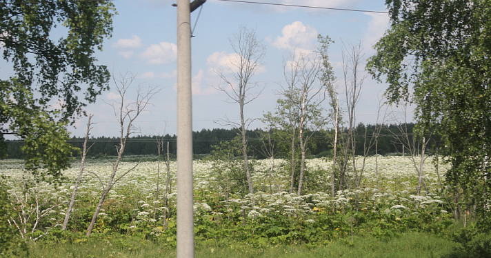 Мэрия Ярославля нарвалась на штраф, выписанный с помощью комплекса автоматической фиксации