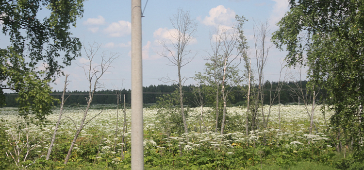 Мэрия Ярославля нарвалась на штраф, выписанный с помощью комплекса автоматической фиксации