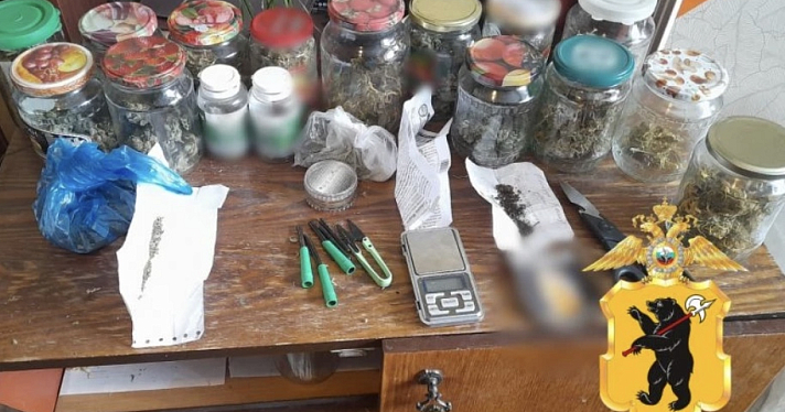 Житель Ярославской области задержан за хранение более 140 граммов марихуаны