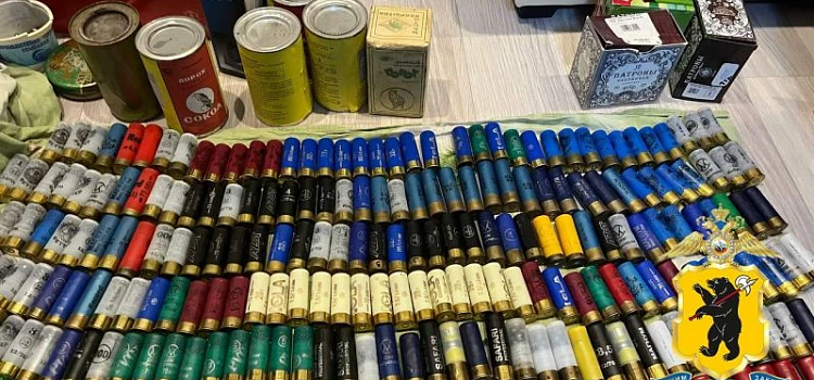 В Ярославской области задержали мужчин и женщину, незаконно отстреливавших лосей