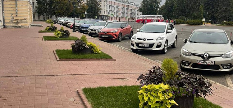 В центре Ярославля высадят новые деревья вместо спиленных