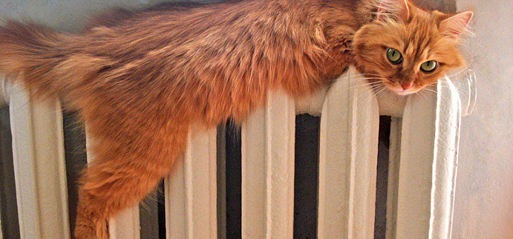 В Ярославле ТГК-2 «вернула тепло» объектам Министерства обороны РФ 