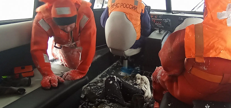 В Ярославле под Октябрьским мостом едва не утонул молодой человек_309794