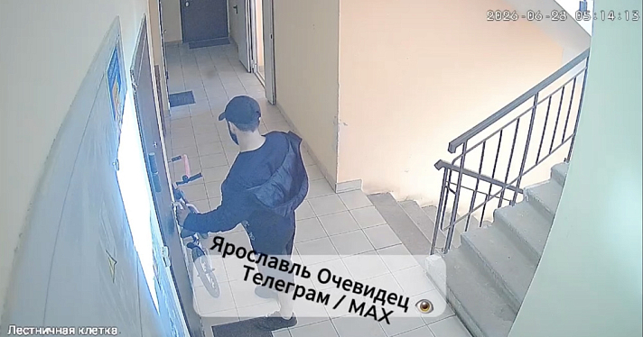 В Ярославской области «компашка домушников» организовала ночные вторжения и дневные преследования
